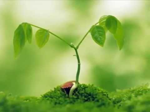 الحنجره الذهبية الشيخ عبد الباسط ربنا اننا سمعنا مناديا ينادي للإيمان اجمل المقاطع التي لا تنام قبل 