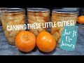 How to Water Bath Can Mandarin Oranges - Jar It Up January