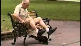 Scorpion 2 By Ahmed.flv