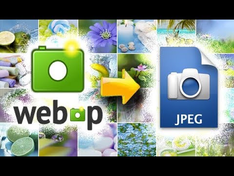 Формат WEBP Чем открыть и как конвертировать в JPG
