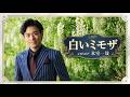白いミモザ / 加門亮 cover氷室一哉