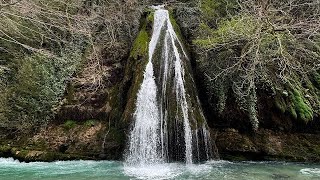 РУЧЬЕВАЯ ФОРЕЛЬ В ЖИВОПИСНОЙ РЕКЕ