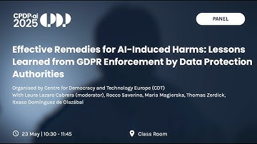 CPDP.ai 2025 - Effective Remedies for AI Induced Harms: Lessons Learned from GDPR Enforcement by...