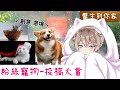 【李聽】粉絲寵物照投稿大賞💟讓平凡的生活，增加一些色彩🌹｜醫生到你家｜微創意｜Vtuber｜