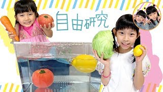 【自由研究】この野菜は浮く？浮かない？　野菜を使って実験しよう★　姉妹で実験ごっこ　水あそび　夏休み　宿題　4歳　9歳　ママコラボ080