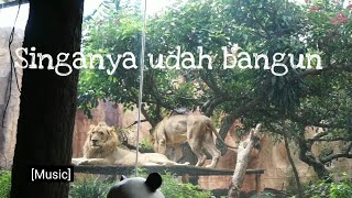 KUMPULAN PRANK SHABIRA || MALAH AYAHNYA YANG KENA MENTAL