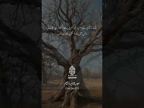 Surah Ibrahim: Ayah 24-27 💖 سورۃ ابراہیم #quran #surahibrahim