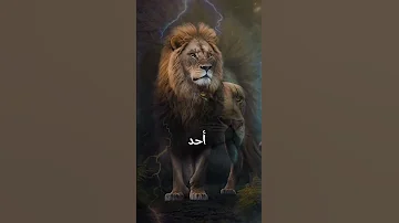 عندما لا تعرف ظروف الناس أغلق فمك ولا تتفلسف حكمة اليوم اقوال وحكم حكم اقتباسات حلات وتساب 
