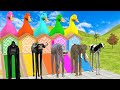 5 Giant Duck, Monkey, Piglet, chicken, dog, dinosaur, Sheep, Transfiguration funny animal 2023