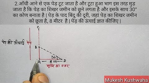 प्रश्नावली 9.1 प्रश्न-2,3,4 कक्षा 10 गणित (विस्तार से)
