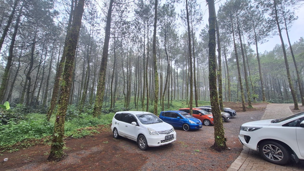 Rute Menuju AONE TRAWAS - Jalur Tanjakan, Tengah Hutan dan Sempit - AC Off dan Gigi 1, Aman