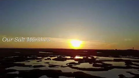 Jacques Cousteau Reserve, New Jersey