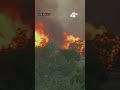 Forward progress on Chimney Fire stopped, 60% contained