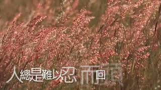 Video thumbnail of "KAZE 風 - Candies"