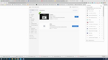 Adding and Using Dualless Chrome Extension