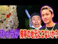 【コムドットひゅうがへ】昆虫採るならオレ等の地元に来てくれ！！！