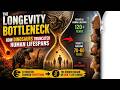 The Longevity Bottleneck: How Dinosaurs Truncated Human Lifespans