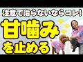 【子犬】甘噛みが治らないなら試してほしい芸