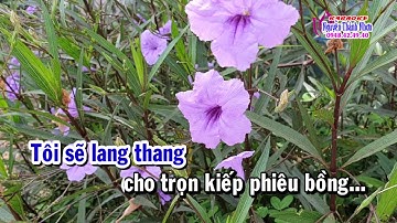 Karaoke vọng cổ TƯƠNG TƯ - DÂY KÉP [T/g Lâm Hữu Tặng]