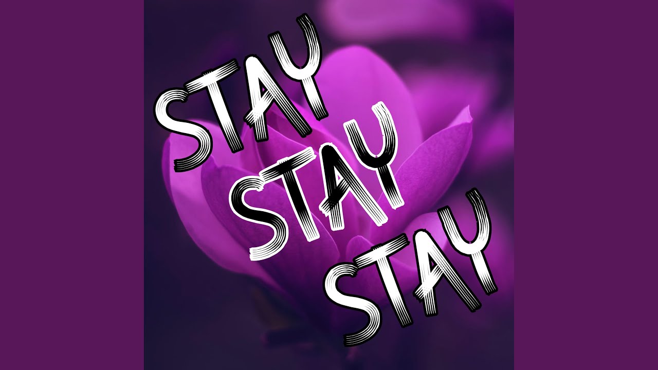 Stay - YouTube