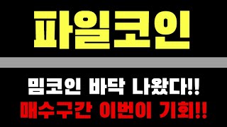 [파일 코인]밈코인 바닥 나왔다!! 매수구간 이번이 기회!! 영상 필수시청 #코인시황 #파일코인 #파일코인전망