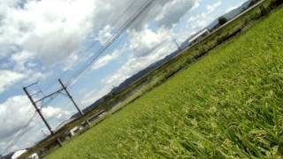 和歌山電鐵2270系いちご電車 (貴志~甘露寺前)