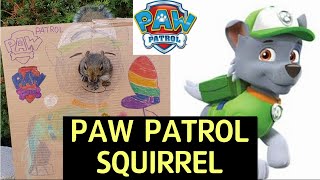 Paw patrol squirrel/퍼피 구조대 다람쥐