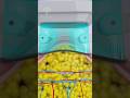 How Does Fat Freezing Cryolipolysis Really Work 亟 Shorts Viralvideo CREATIVELEARNING3D How Does Fat Freezing Cryolipolysis Really Work 亟 Shorts Viralvideo CREATIVELEARNING3D