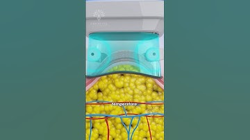 How Does Fat Freezing  & Cryolipolysis Really Work 😲 #shorts #viralvideo - CREATIVELEARNING3D