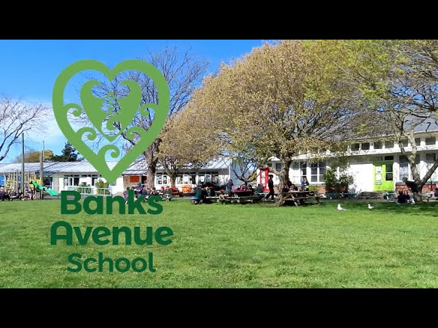 Banks Ave School with VLN Primary 