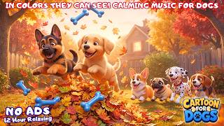 🔴Calming Dog Cartoons TV 🐶 Fun TV for Dogs Home Alone to Ease Anxiety－Relaxing Music for Puppies screenshot 3