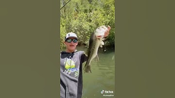 câu lure vược siêu to  | tập 14 | top câu cá