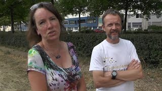 Stadsimkers En Bewonersvereniging Moedeloos Na Vernieling Bijenbaan