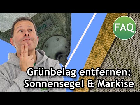 Grünbelag entfernen: Sonnensegel, Markise & Sonnenschirm richtig säubern | FAQ ☀️ Pina