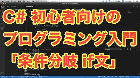C# 初心者向けのプログラミング入門 「条件分岐 if文」