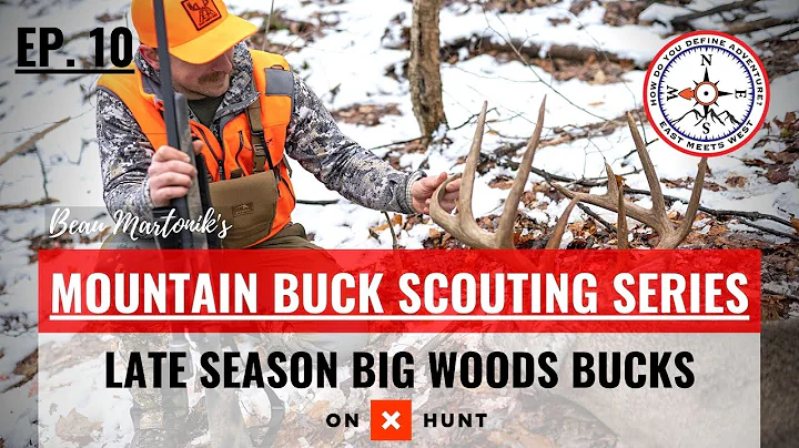 HOW TO HUNT LATE SEASON BIG WOODS BUCKS | Mountain Buck Scouting Series | Ep. 10