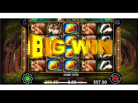 Golden Acorn - Big win - Ct Gaming
