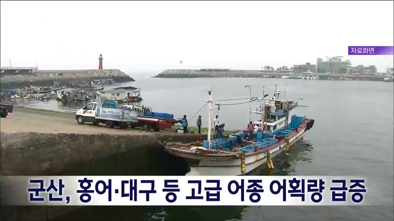 군산, 홍어·대구 등 고급 어종 어획량 급증 | 전주MBC 221023 방송