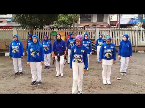 Senam  Kreasi  Kucing Garong choreo by Edi Kelly  YouTube