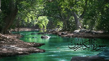 سورة الكافرون، الشيخ السديس، صوت يسكن القلوب