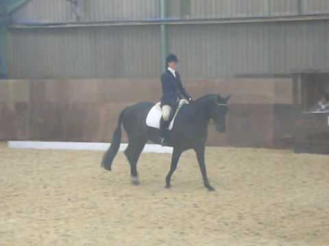 Becky & Merlyn - Novice 26 @ Hunters Equestrian