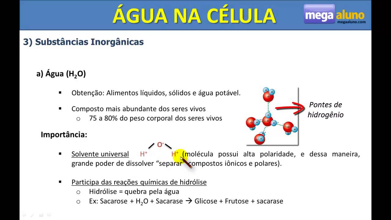 Água na célula - Bioquímica celular (Parte 1 de 7) - YouTube