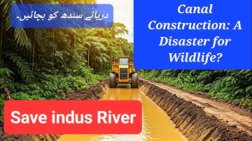 Canal Construction: A Disaster for Wildlife? @wildlife0300 #NoMoreCanalsonIndus