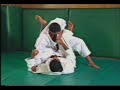 Gracie brazilian jiu jitsu intermediate vol 2