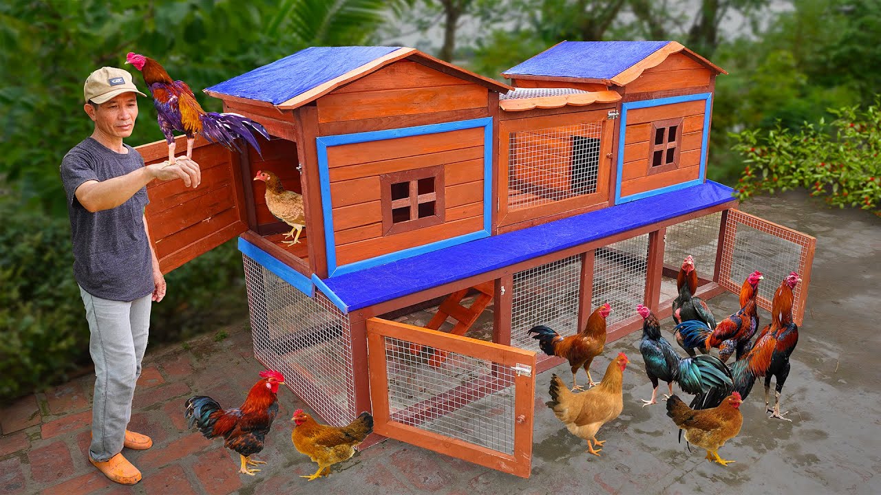 How to make chicken coop at home The low cost chicken coop idea YouTube