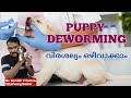 Puppy deworming malayalam|Puppy deworming schedule|Beagle dog malayalam #petsnvets