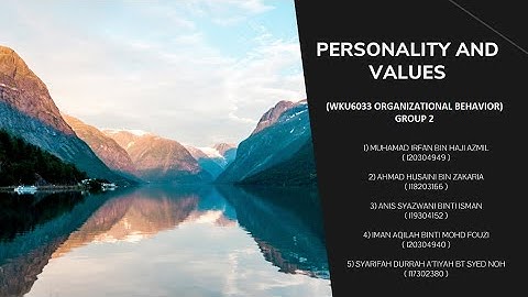 (WKU6033) ORGANIZATIONAL BEHAVIOR - PERSONALITY AND VALUES