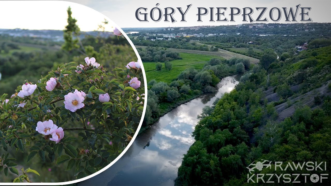 Góry Pieprzowe