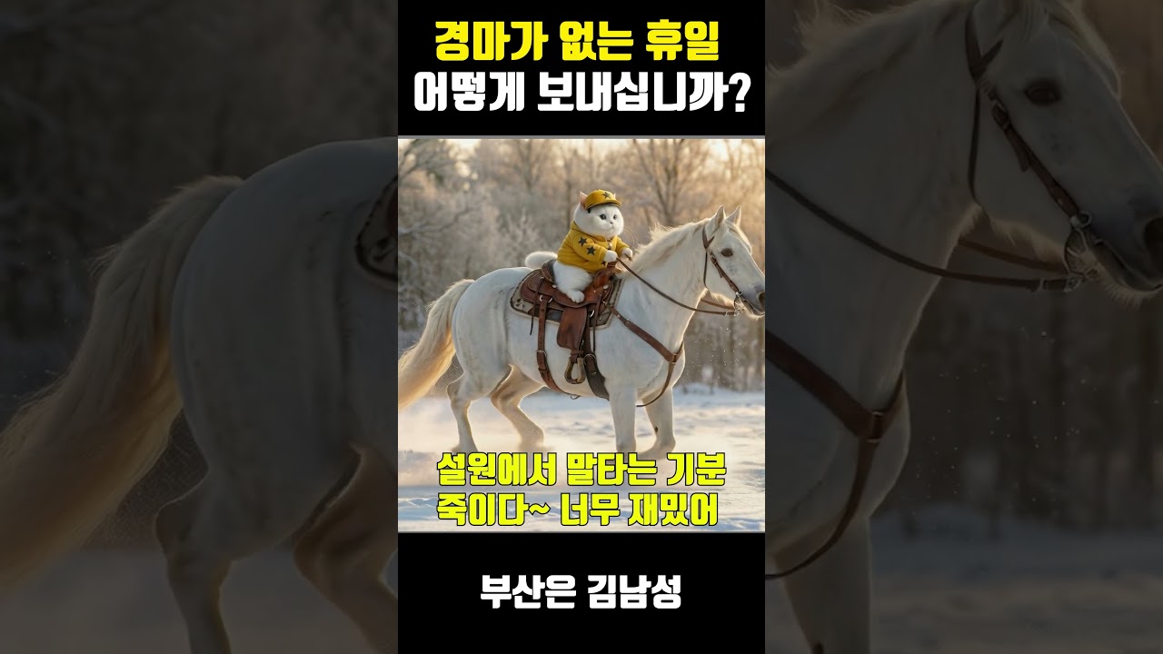 부산경마🎯부산경마예상🥇부산경마💥경마🔵경마예상,김남성경마,경마예상방송,경마 예상,경마예상김남성,경마김남성,경마방송,경마 예상,부산경마예상,부산경마,경마예상방송김남성
