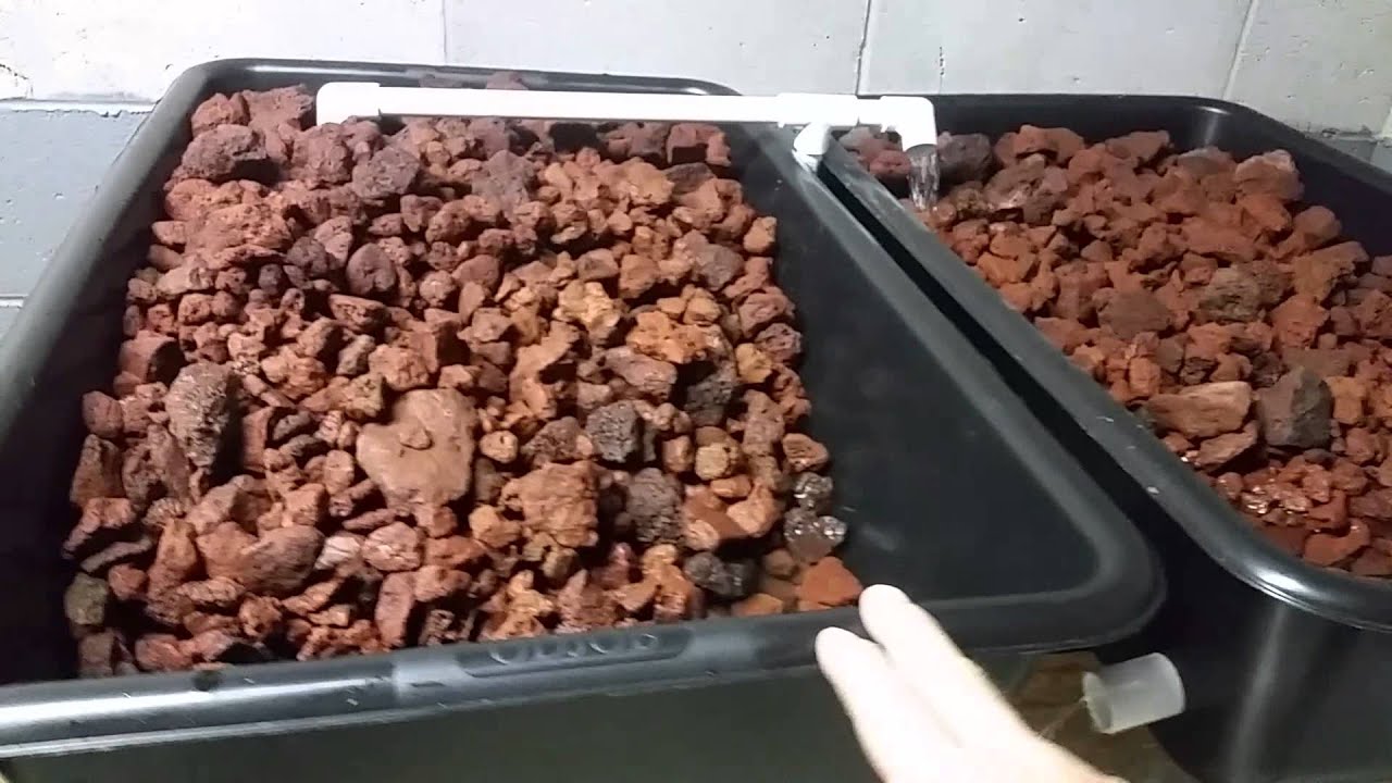 Aquaponic indoor installation, lava rock setup YouTube